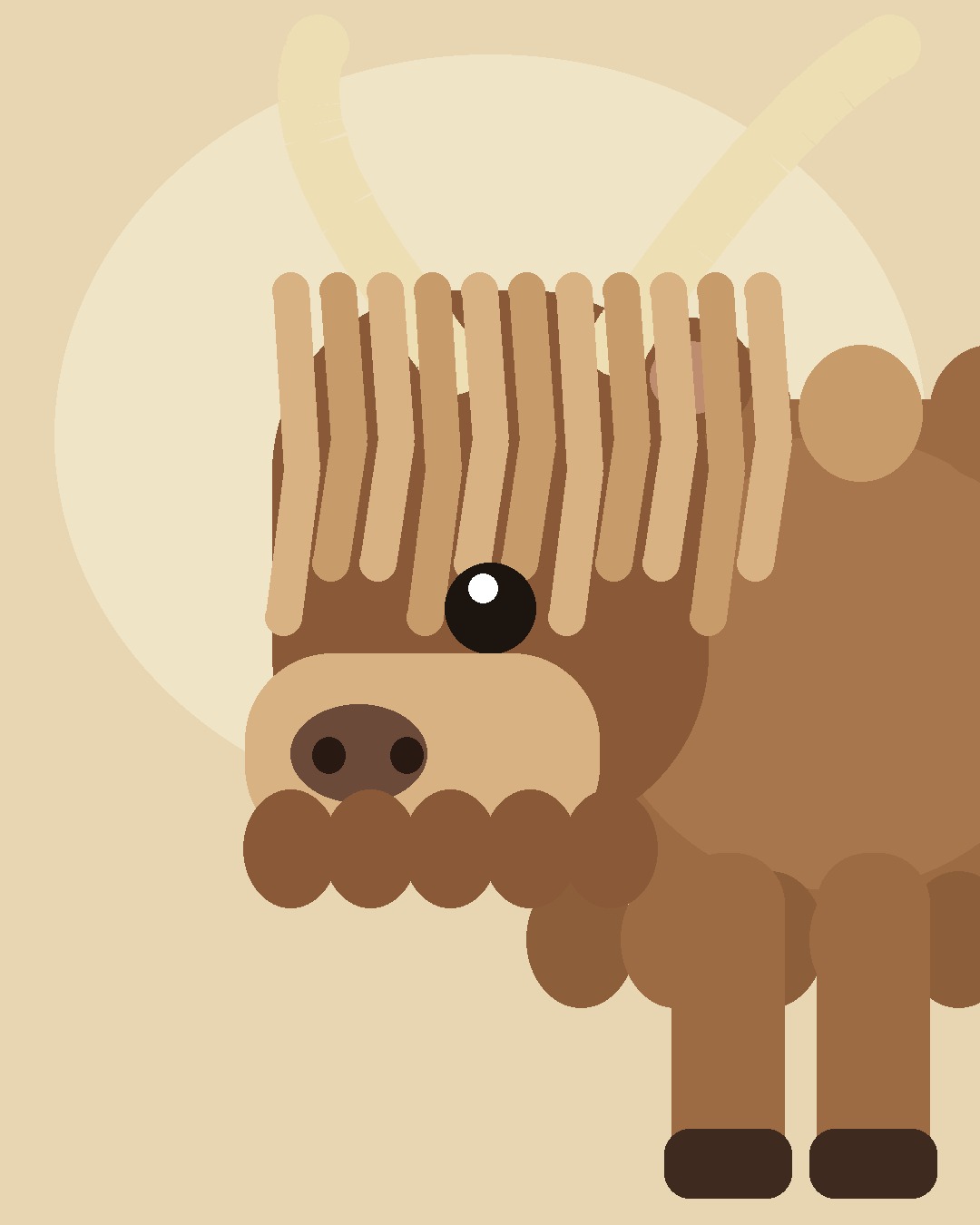 Mini Highland Cow Adoption Guide — Everything to Know Before You Bring One Home — view 3