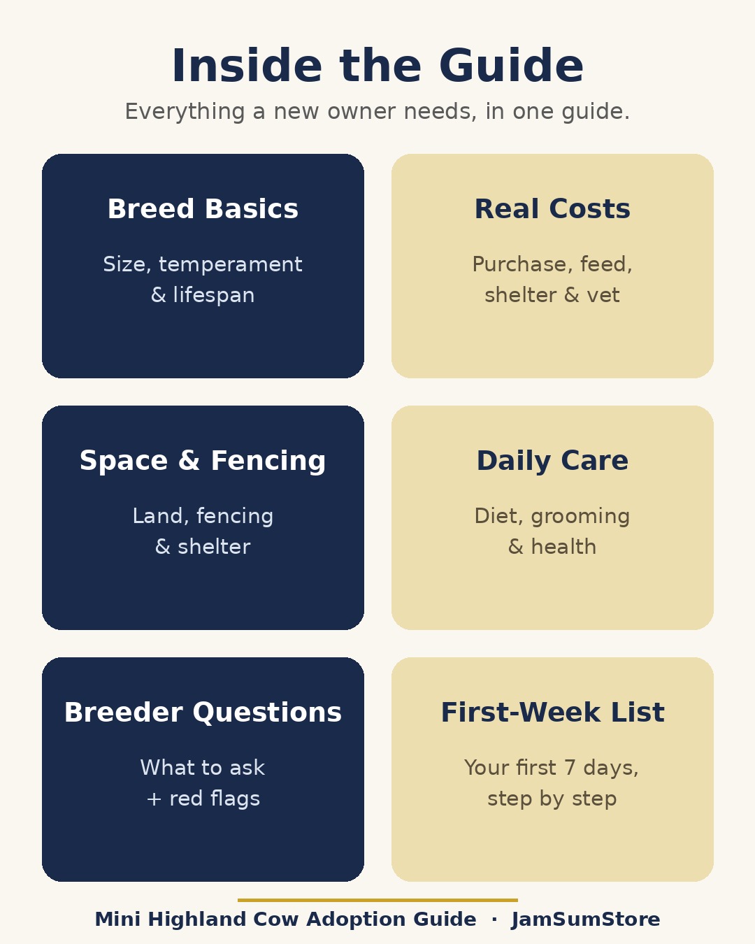 Mini Highland Cow Adoption Guide — Everything to Know Before You Bring One Home — view 5